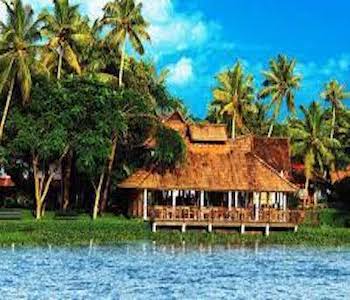 Kerala Honeymoon Packages from Trichy - Munnar Wayanad Tour